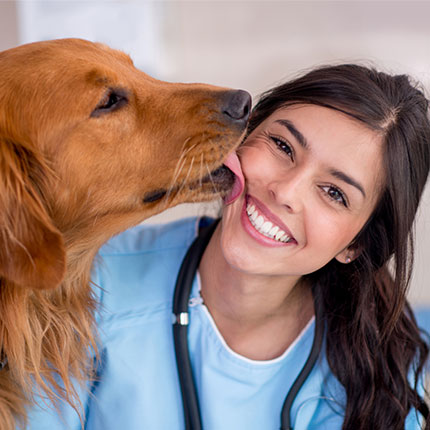 dog-licking-vets-face