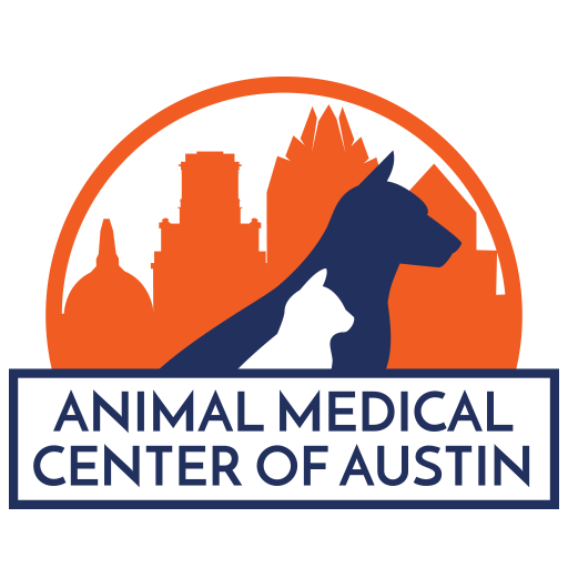 Veterinarian in Austin, TX - Animal Medical Center of Austin