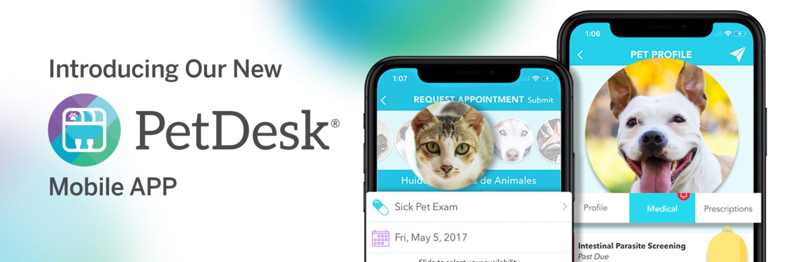 PetDesk_email_header_HR-scaled-1-1536x512